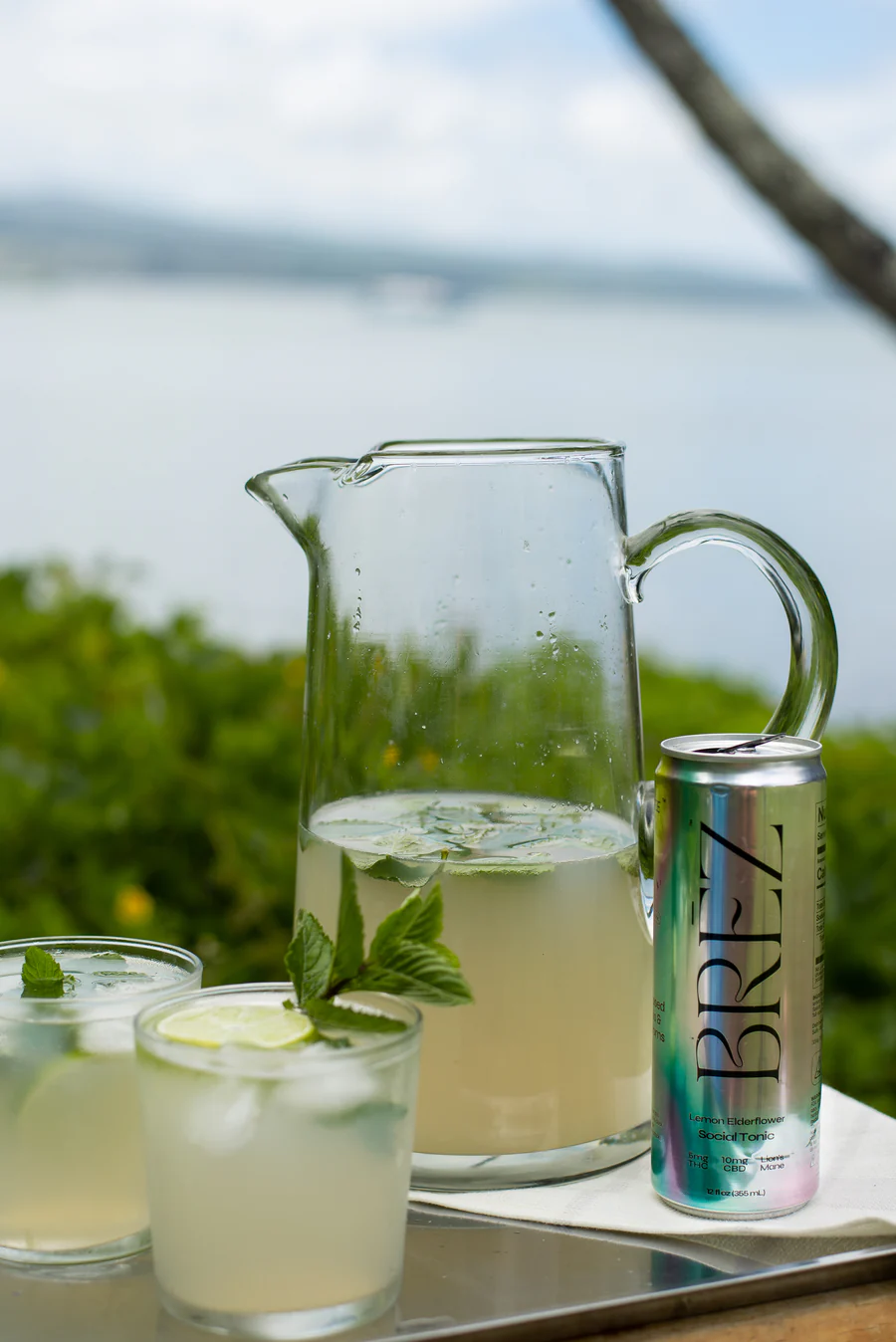 Batched Coconut Mojito