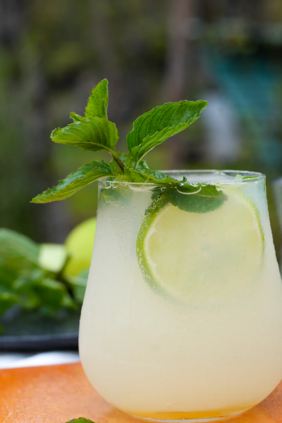 BRĒZ Mojito