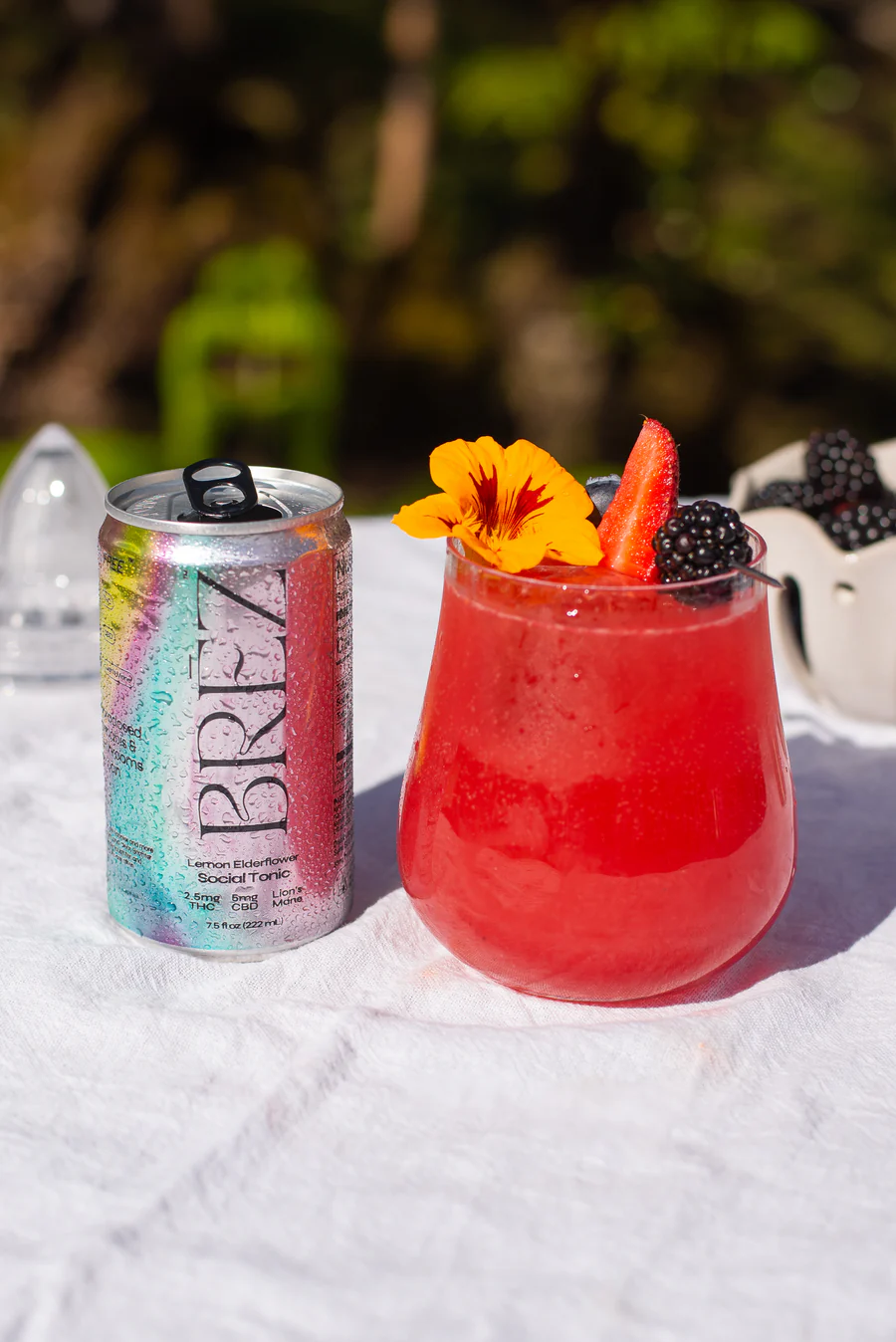 Velvet Bloom Berry